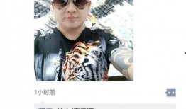 深圳司机龙哥最新爆料,揭秘背后惊人真相